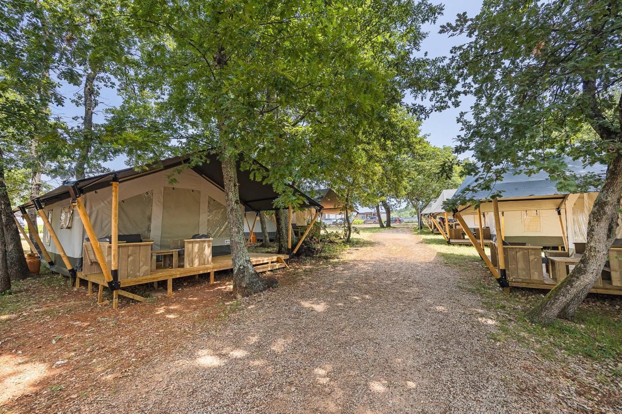 Easyatent Safari Tent Park ウマグ 部屋 写真